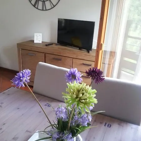 公寓 多洛米蒂公寓 *