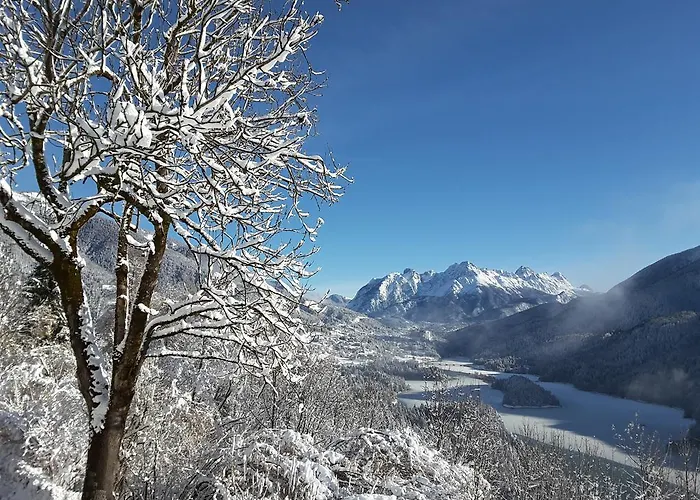 Dolomiti Apartman *
